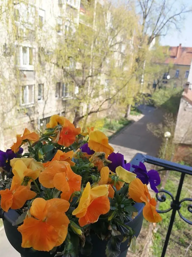 Class Apartment Szeged Hungary